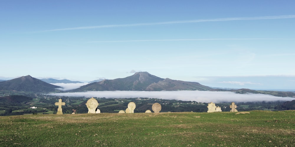 Fotografía de paisaje de campo de hierba verde