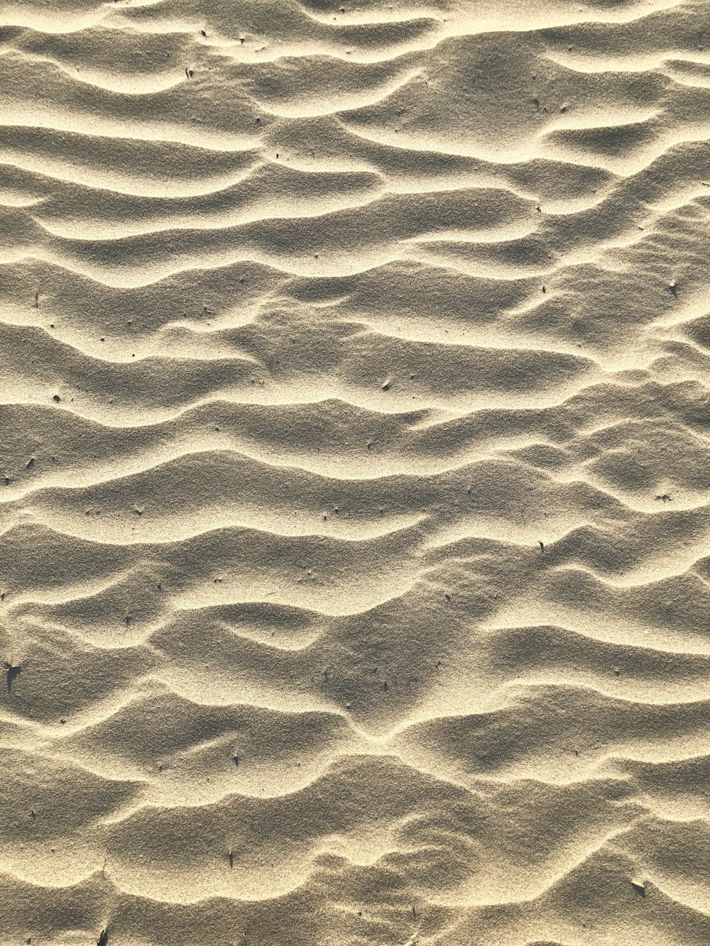 Photo de dunes de sable brun