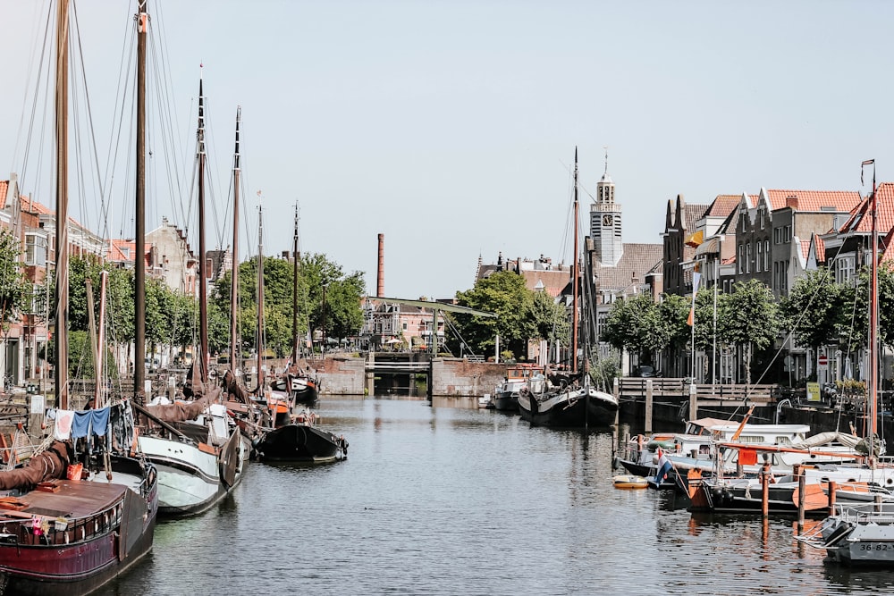 white and black boats on body of water at daytime