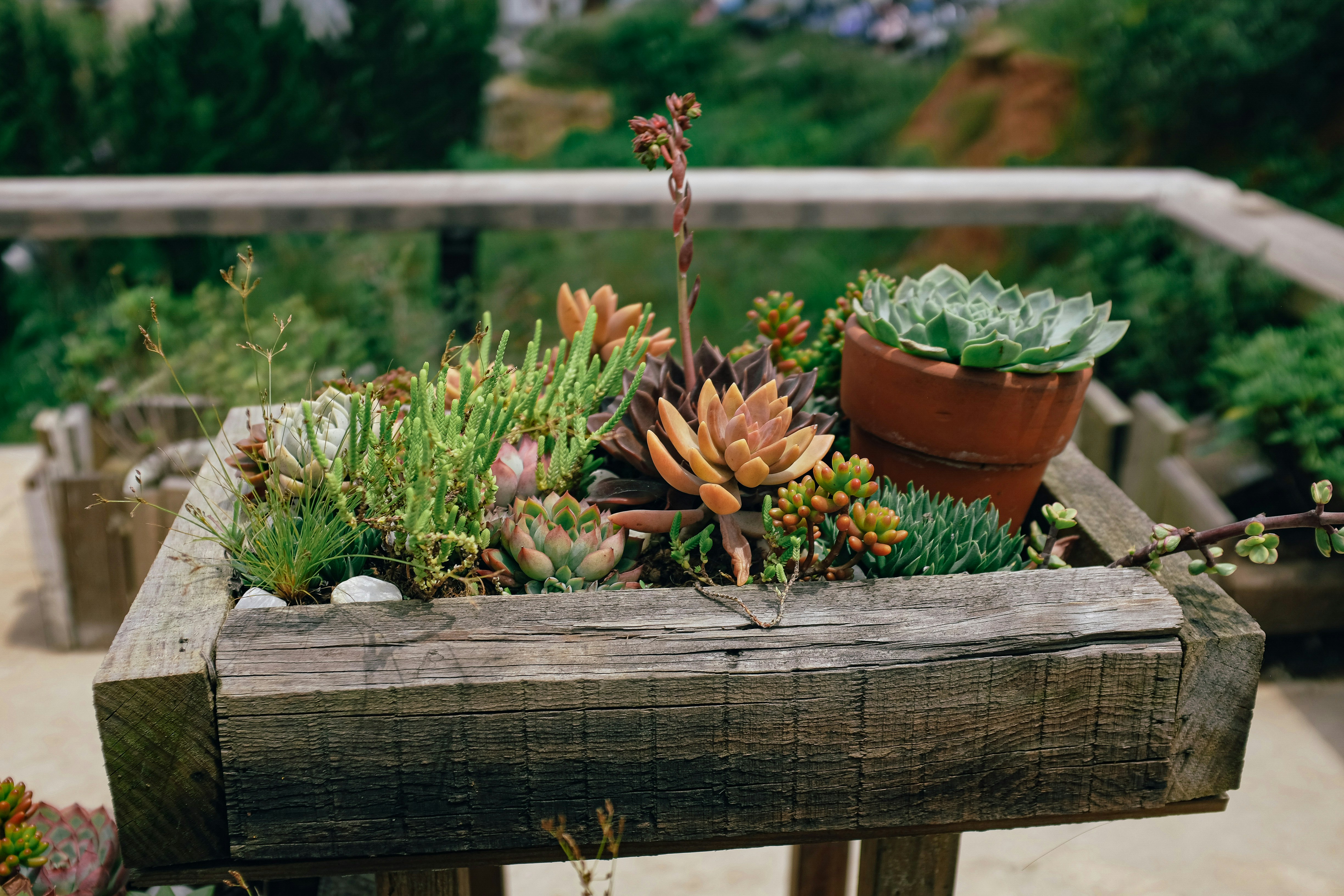 Photo by huyphan2602