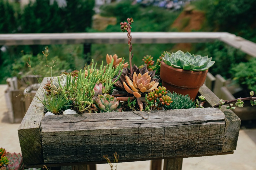 Herb Planter Box