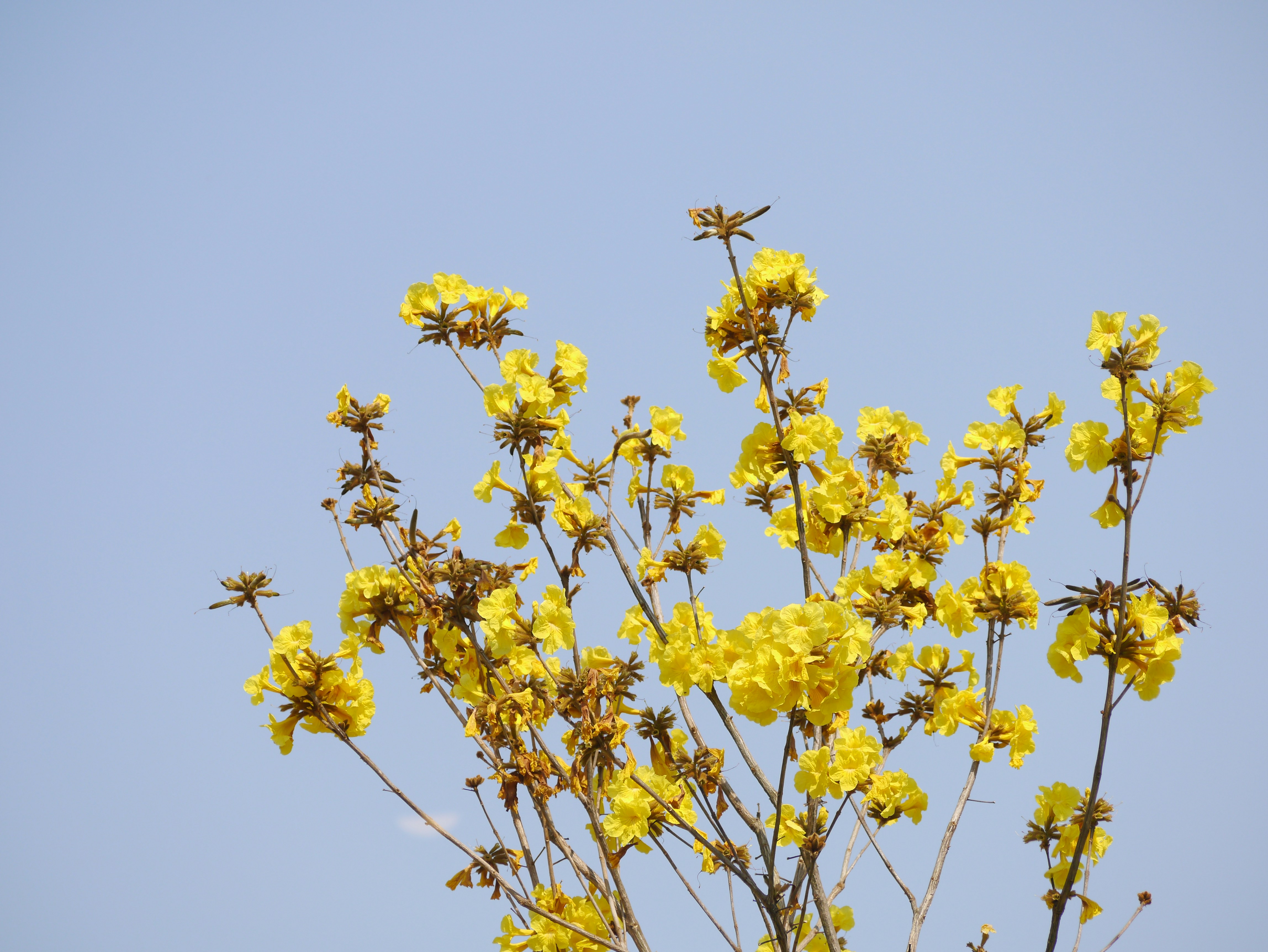 Photo by palmografia