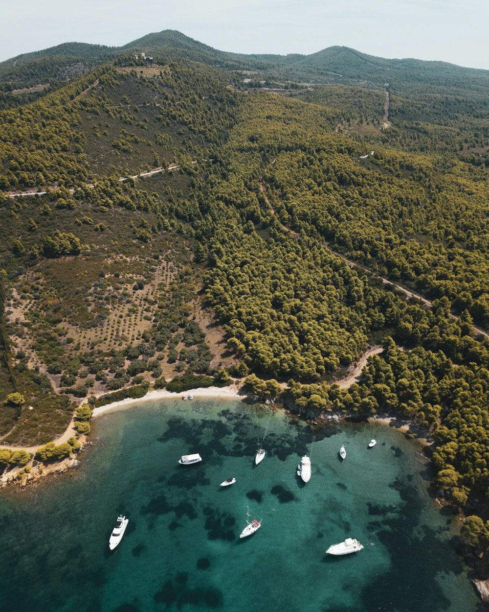 um grupo de barcos flutuando em cima de um corpo de água