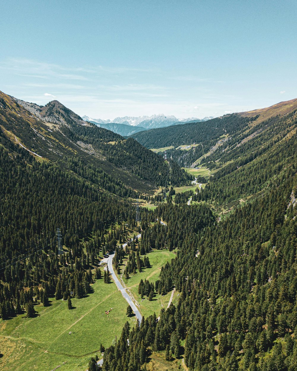 a scenic view of a valley surrounded by trees