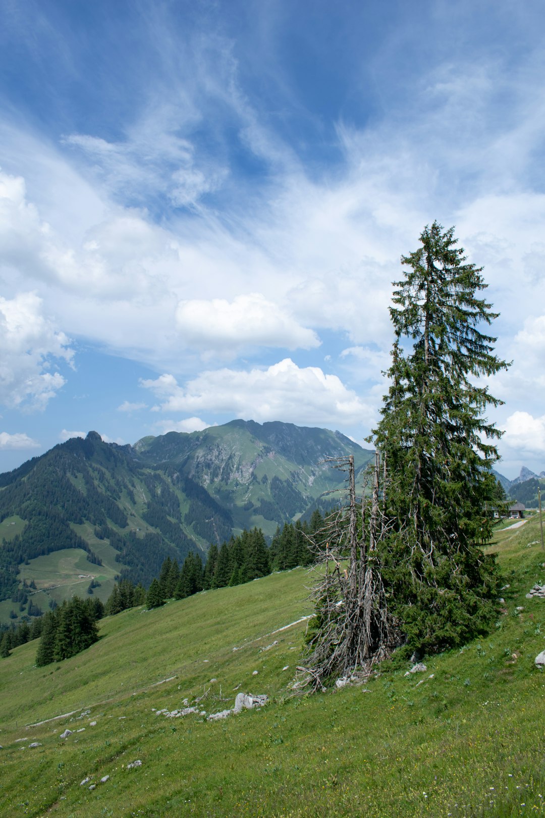 Highland photo spot 1656 Im Fang Bern