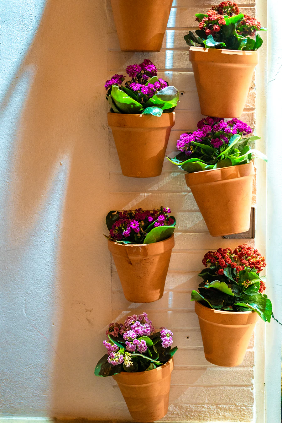 Italian Classic & Vintage Terracotta Pots
