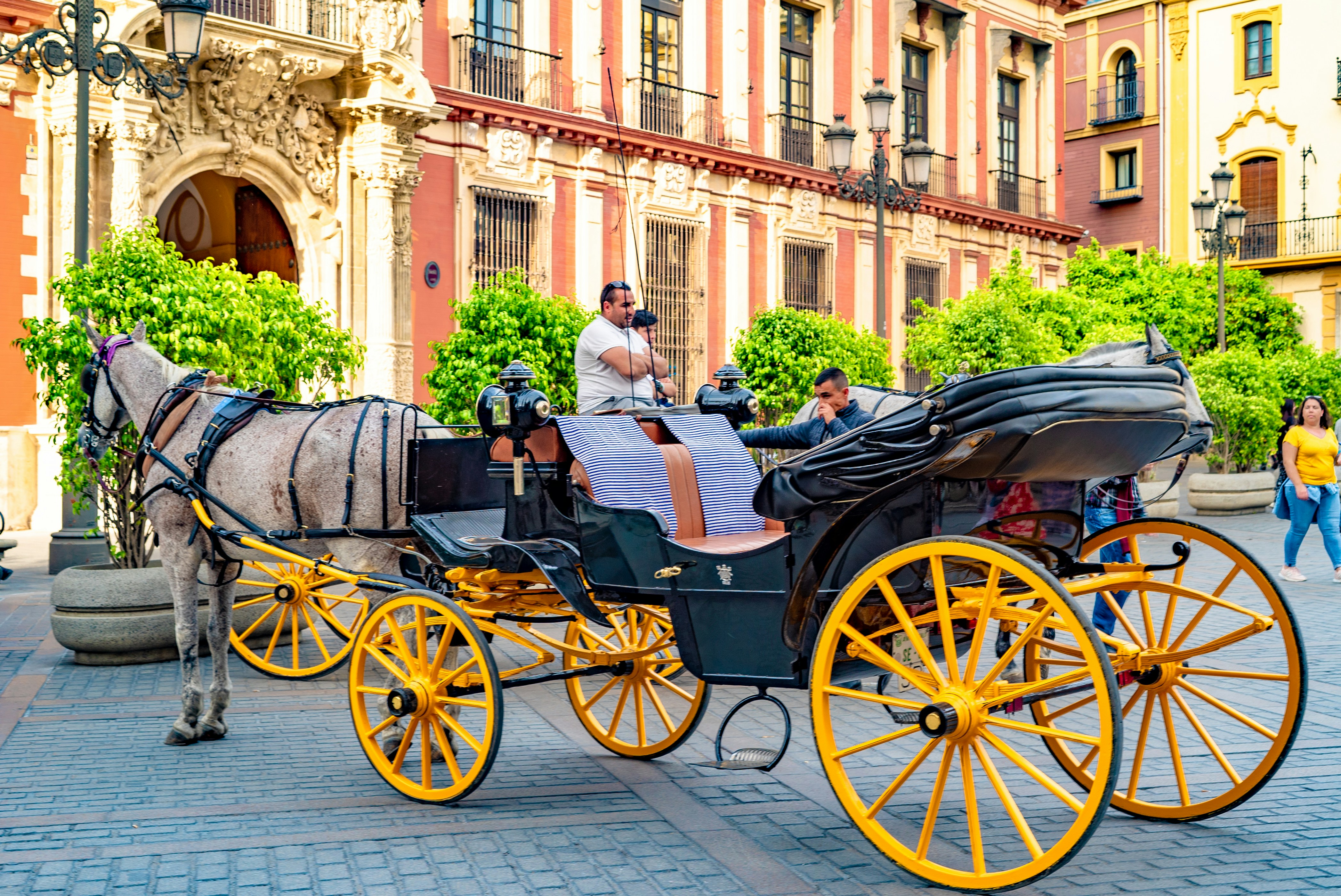 black and yellow horse carriage