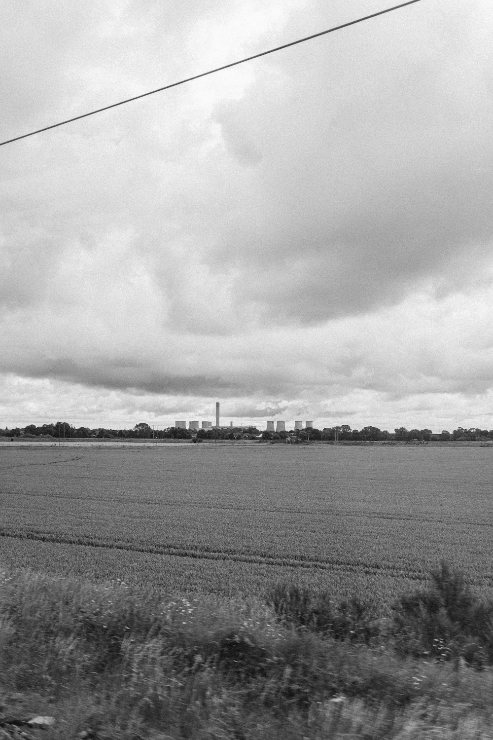 Photographie en niveaux de gris d’un champ cultivé