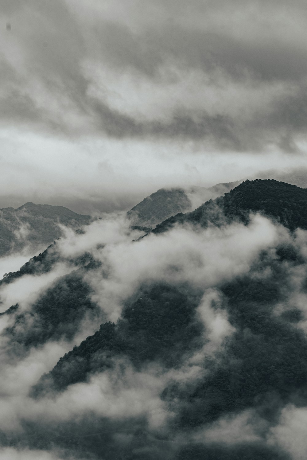 mountains and fog during day