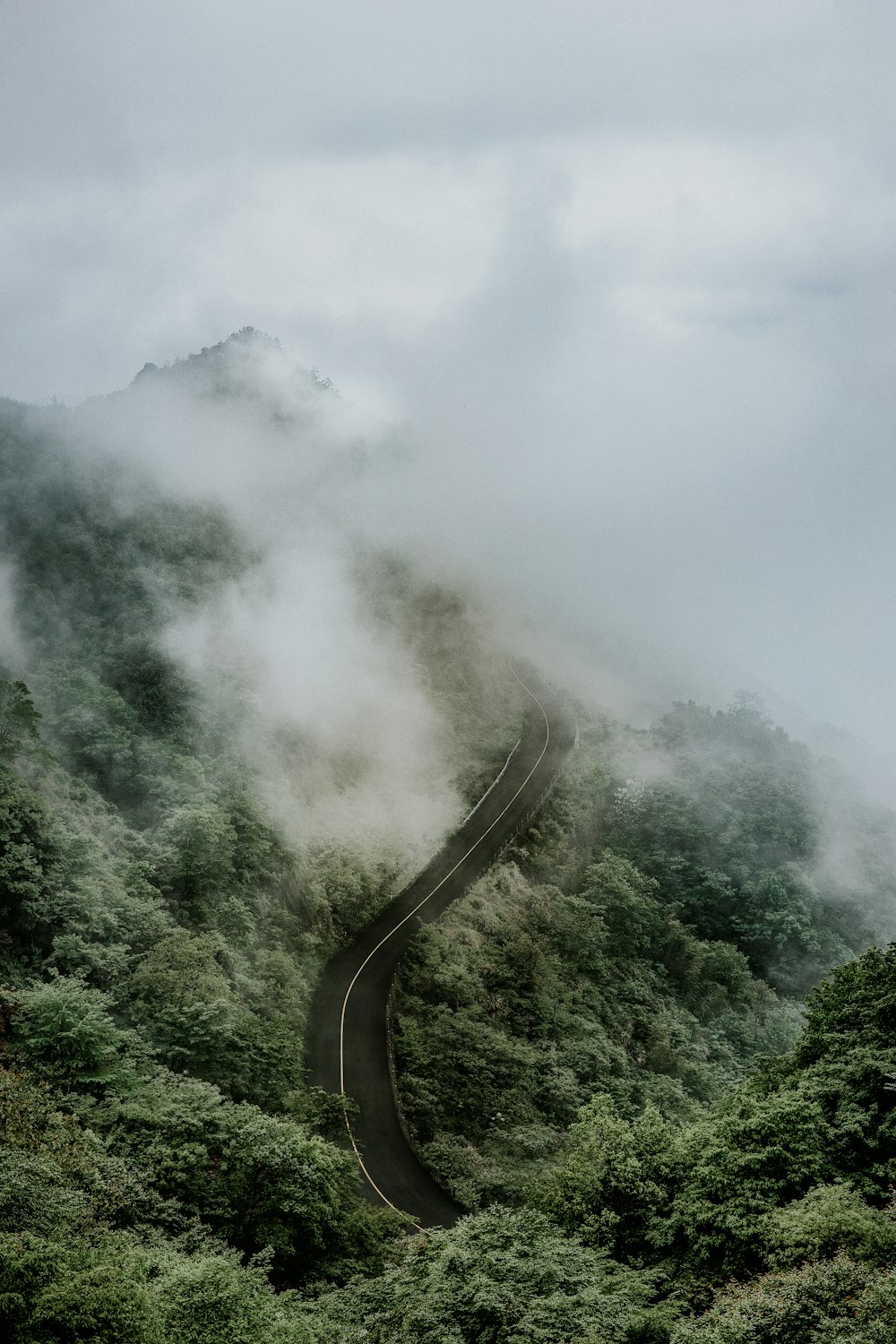 mountain covered in fog