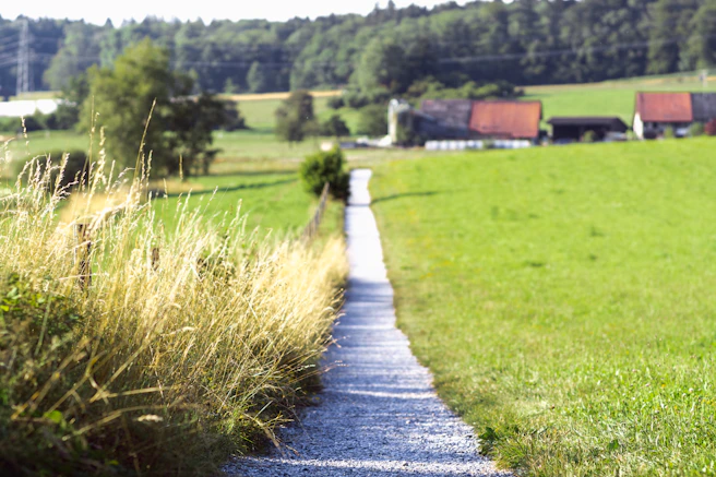 green grassland across brown houses during daytime