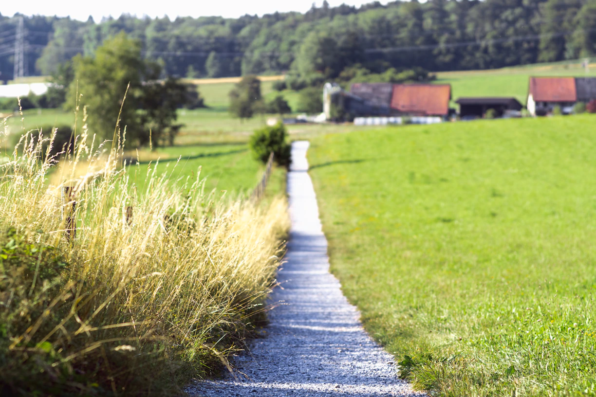 green grassland across brown houses during daytime