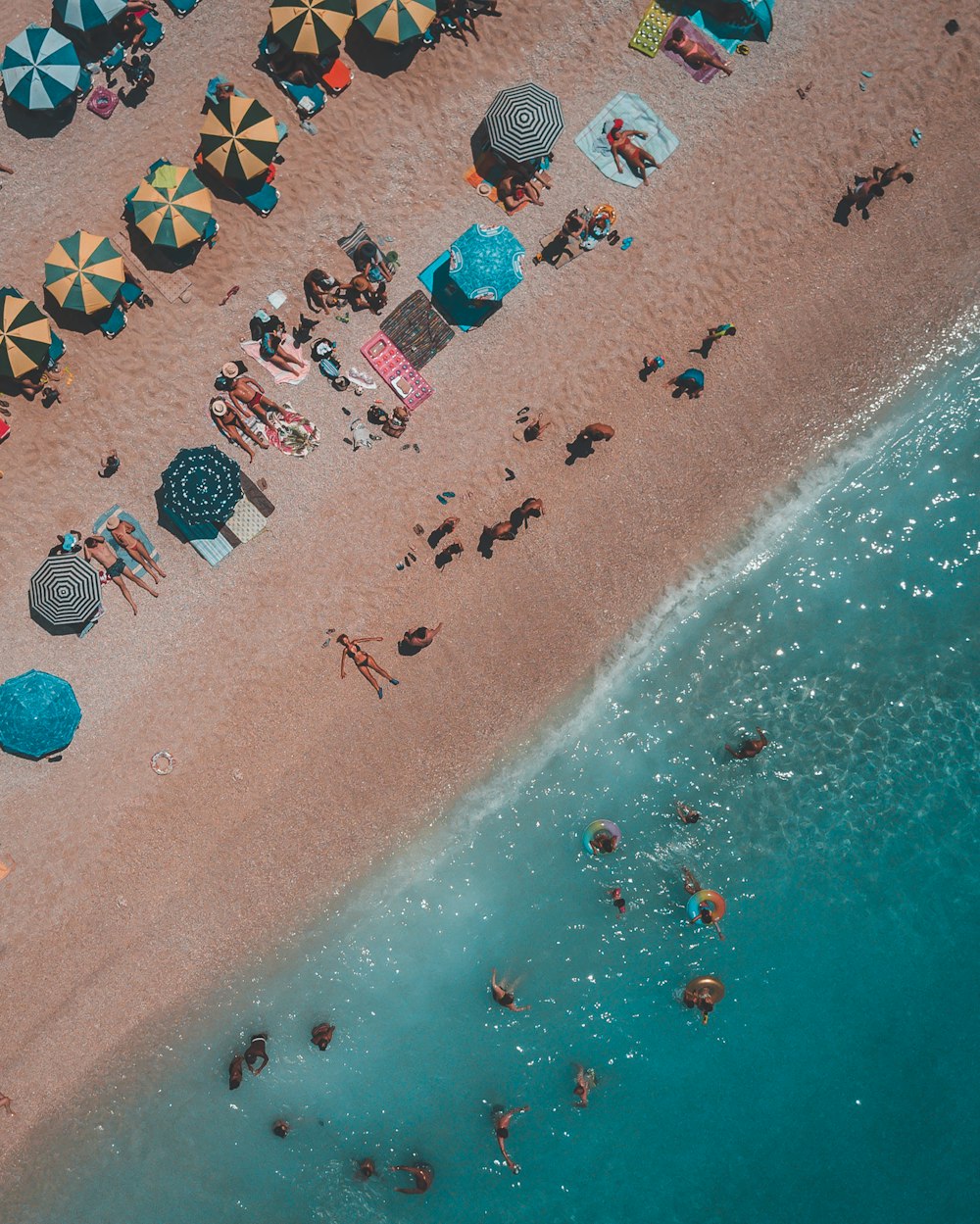 pessoas na praia durante o dia