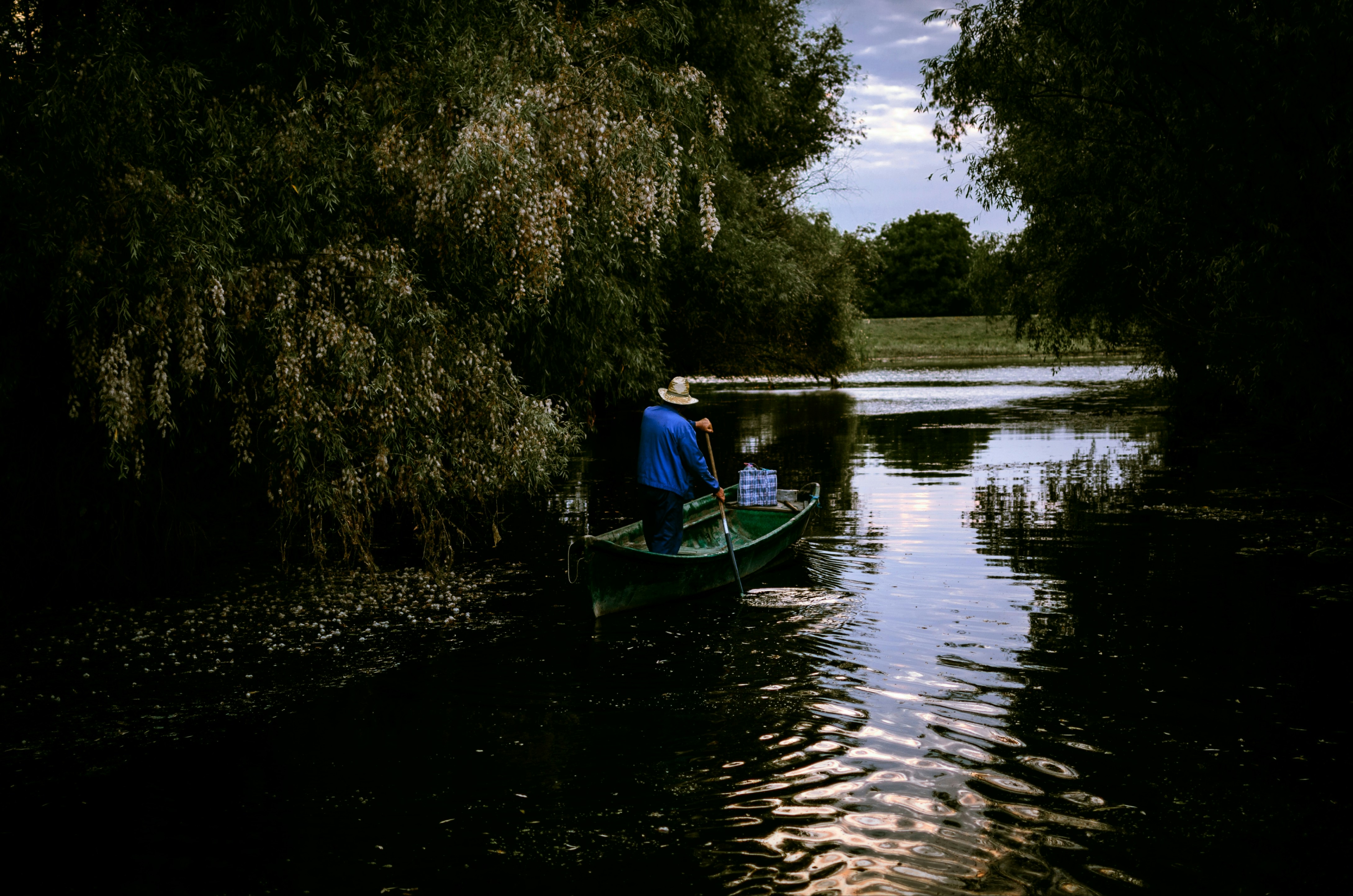 Photo by mihai14