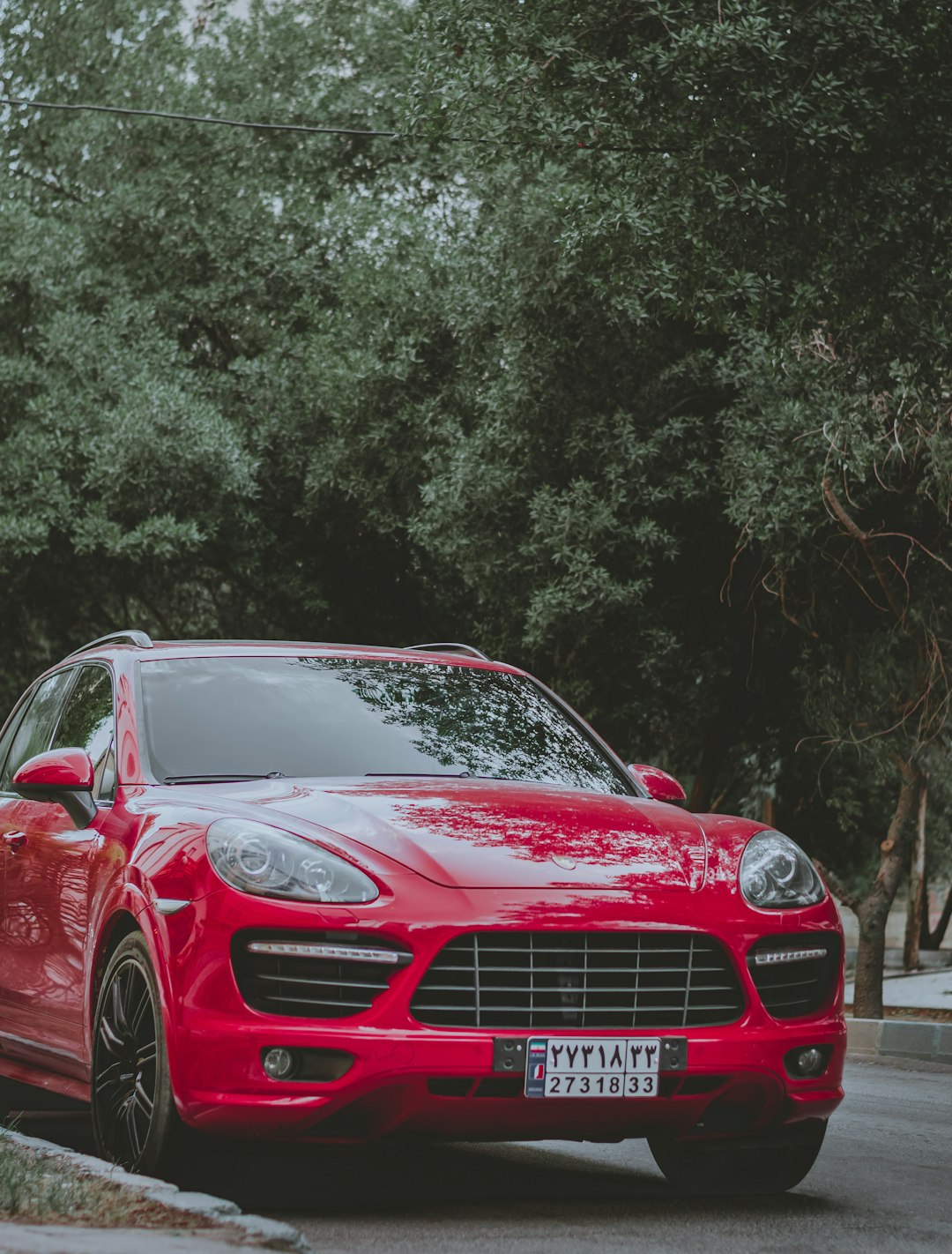 red 5-door hatchback on road way beside tree