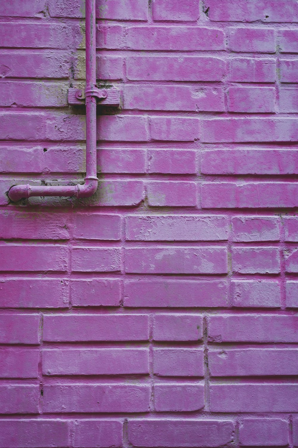 purple concrete wall