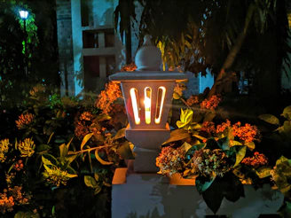 A cozy evening scene with a glowing bamboo lamp casting warm light beside vibrant green plants.