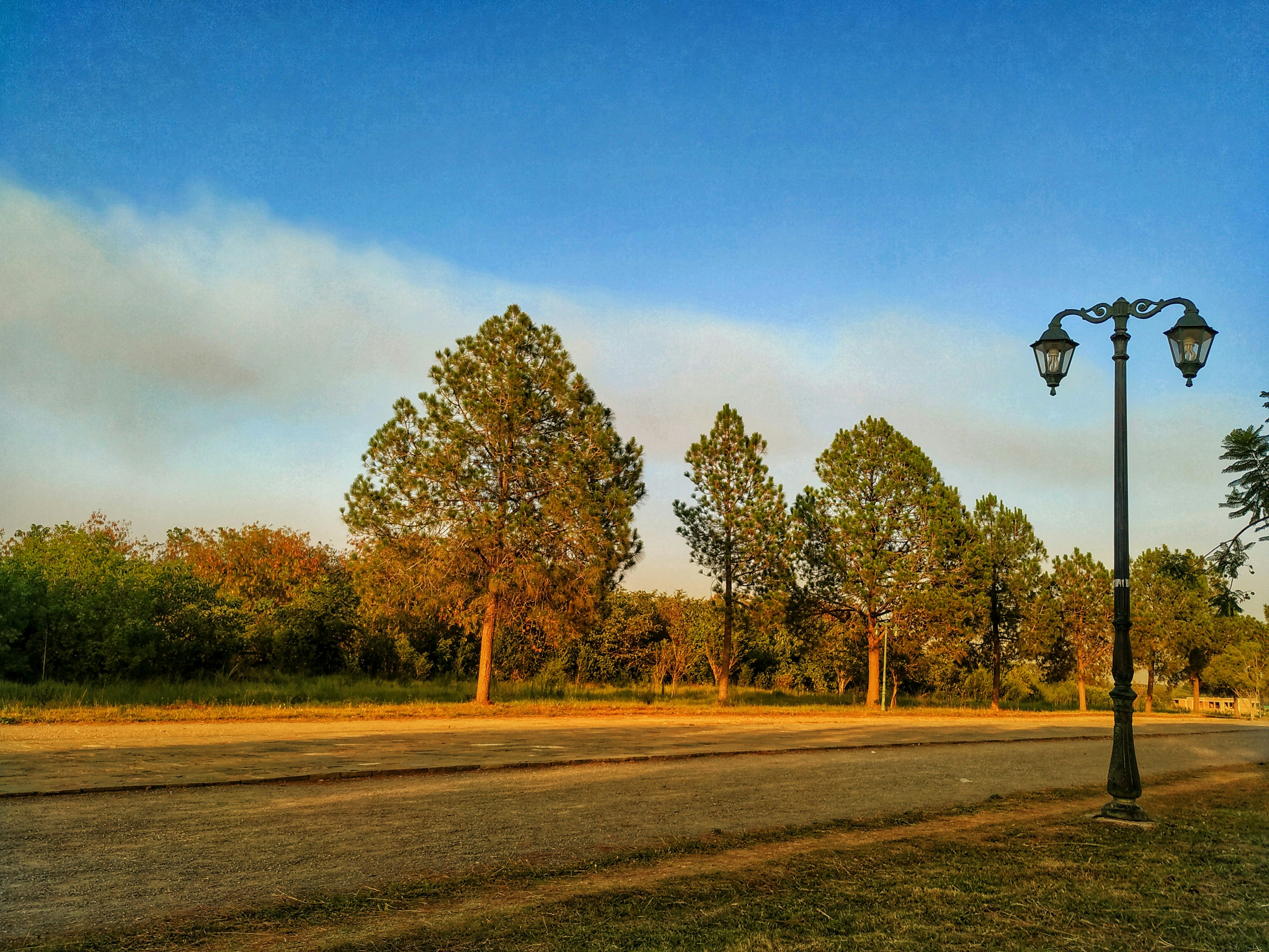 McDade Park