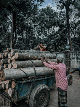 Customer loading freshly cut wood after rental session.