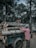 Two individuals are loading large logs onto a blue cart. One person is standing on the ground while the other is on the cart, adjusting the logs under a canopy of dense trees.