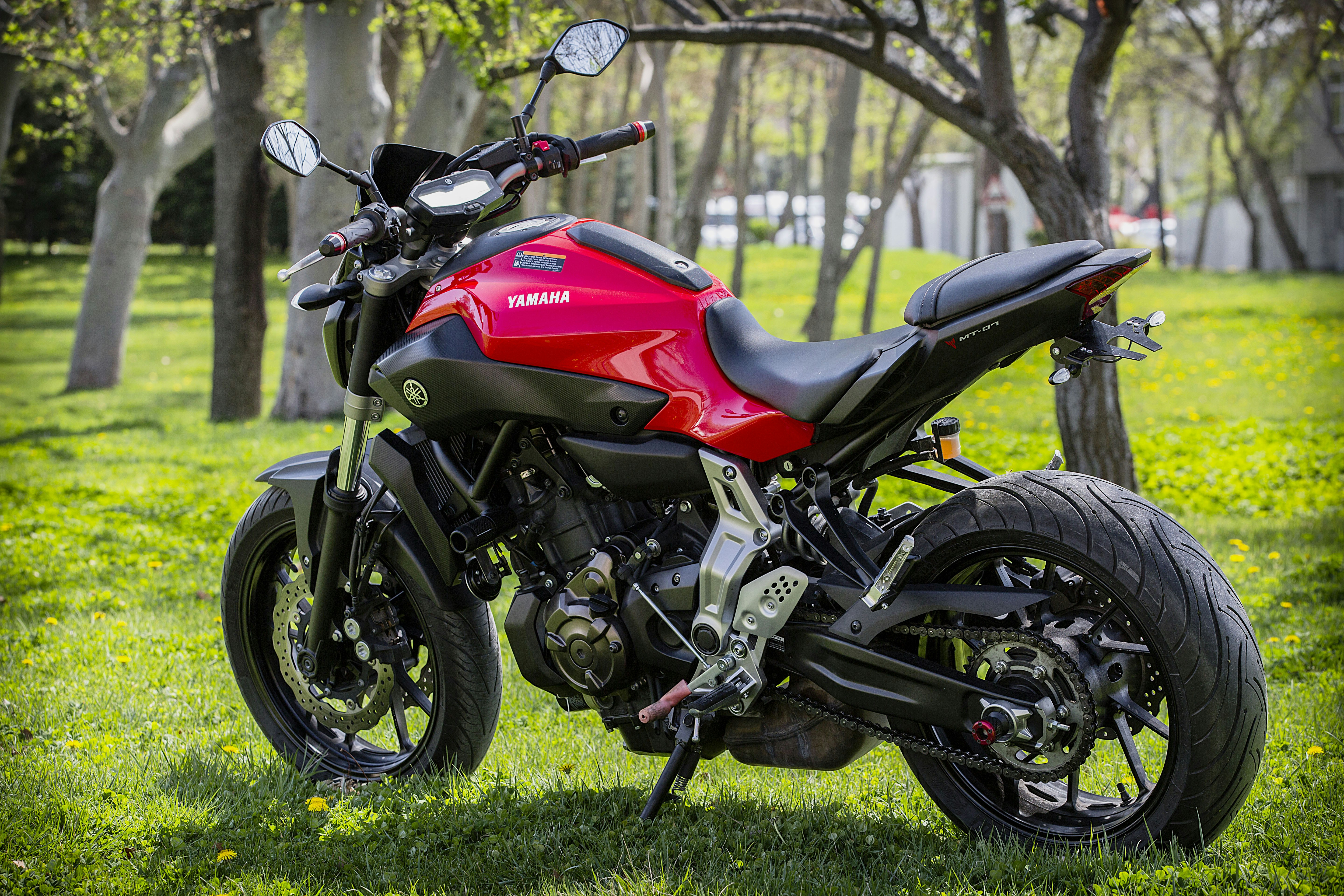 Photo by selimarda6006