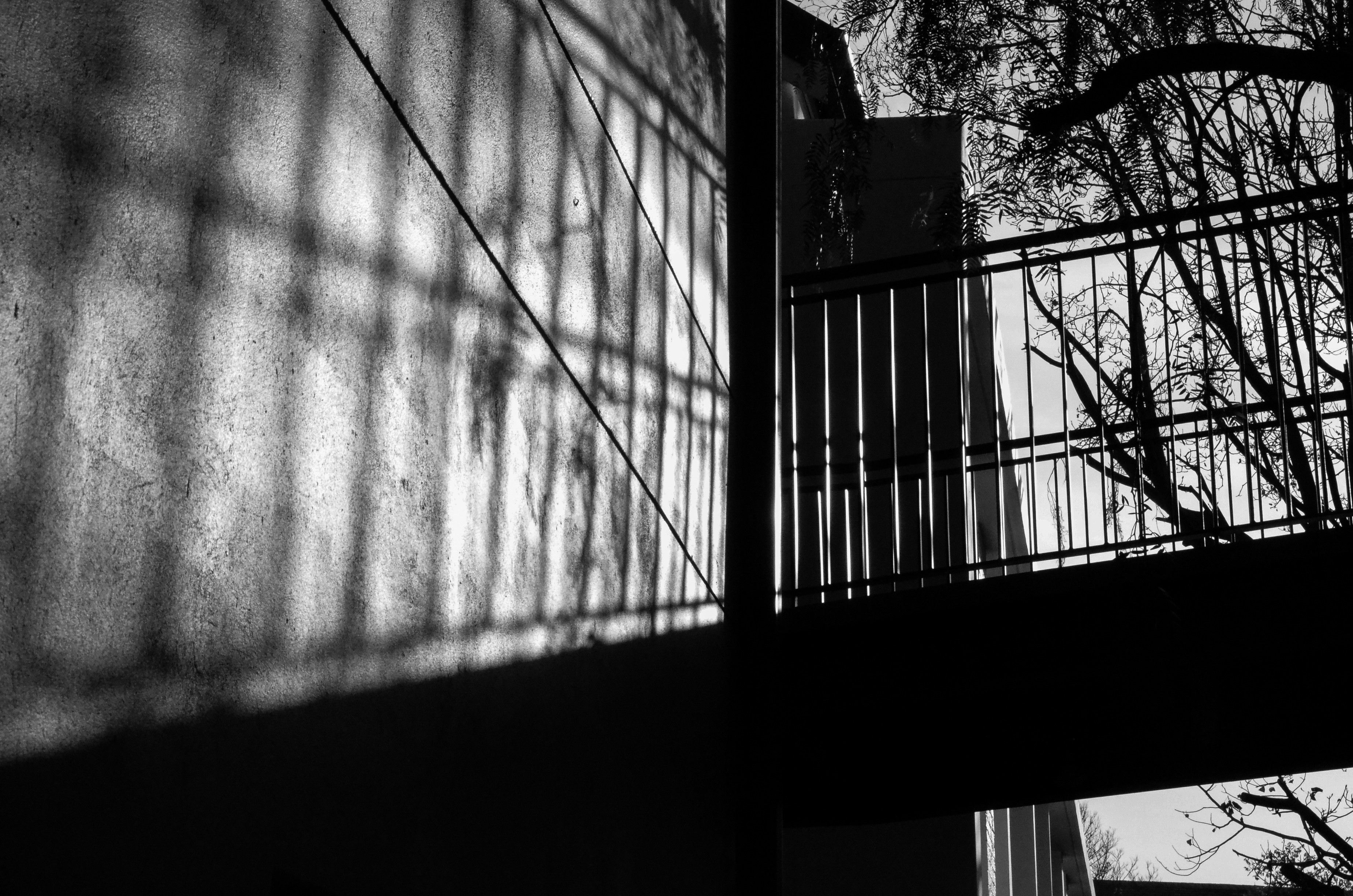 Photo by rebeccaboyd23