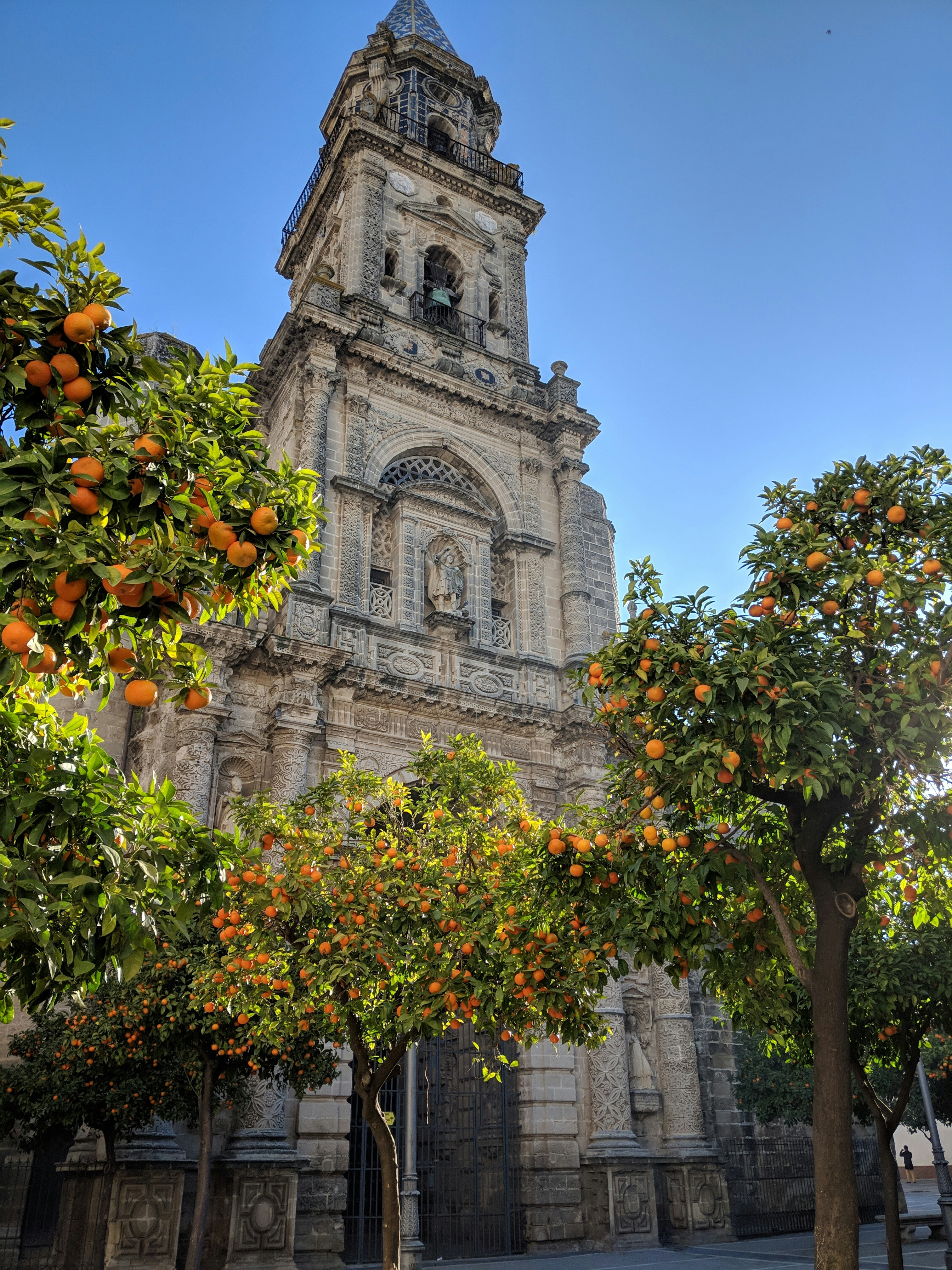 Church in Jerez de la Frontera with orange trees in a courtyard