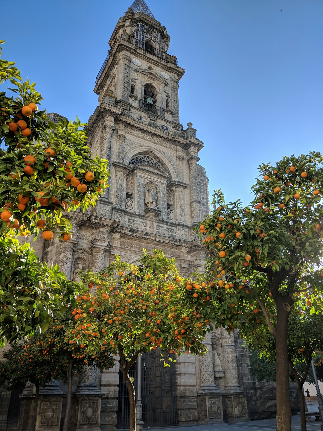 Landmark photo spot Calle Sta. Cecilia Cadiz Cathedral