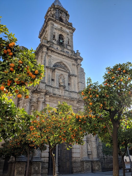 gray concrete building under blue sky at daytime in Iglesia de San Miguel Spain