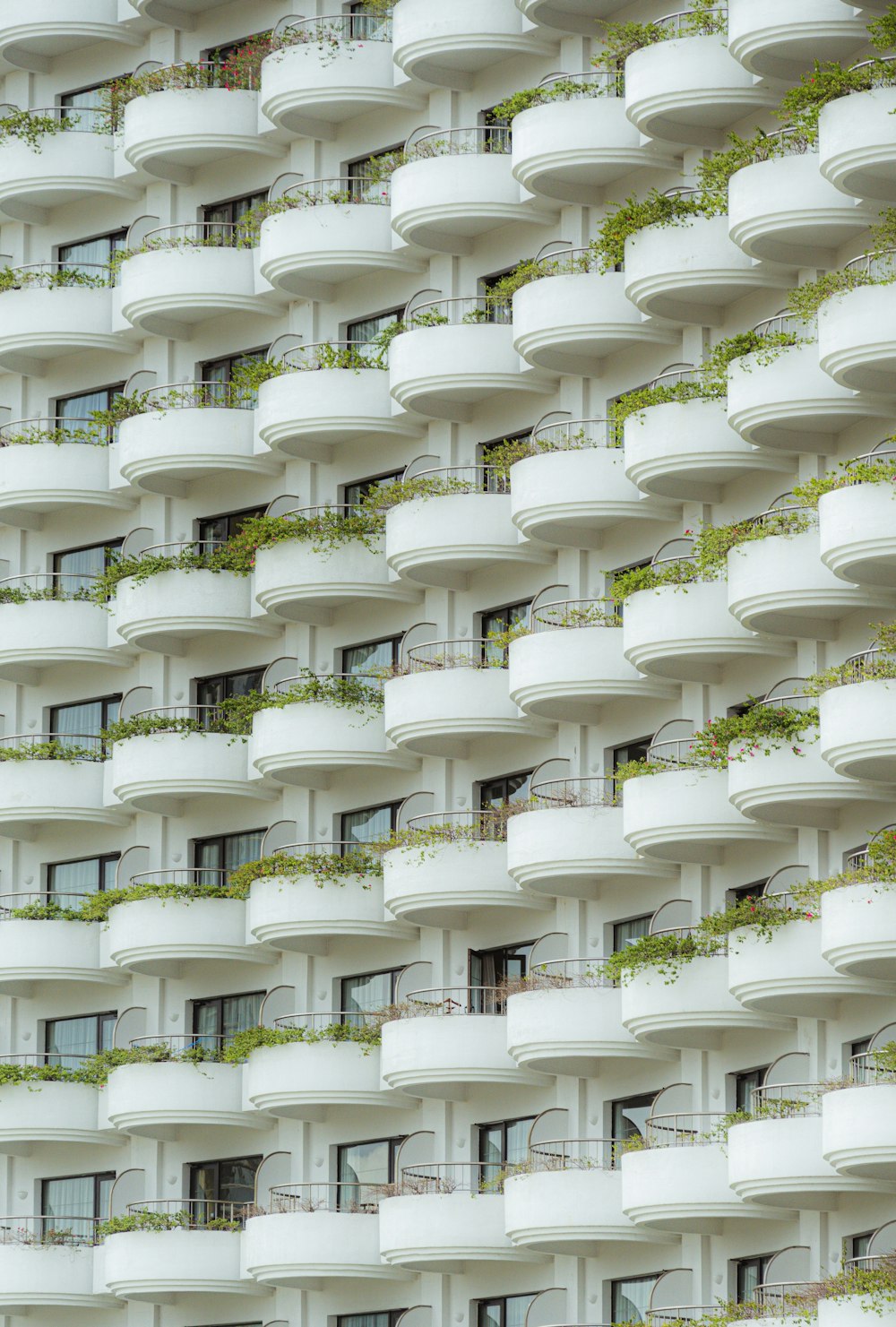 white concrete building close-up photography