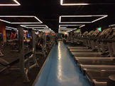 The gym’s professional trainers coaching clients in a high-energy, modern fitness space.