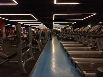 Transformación Integral: Más Que Fitness con Leonfitproject