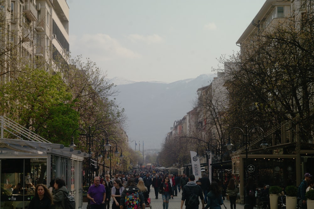 people walking on street near buildings