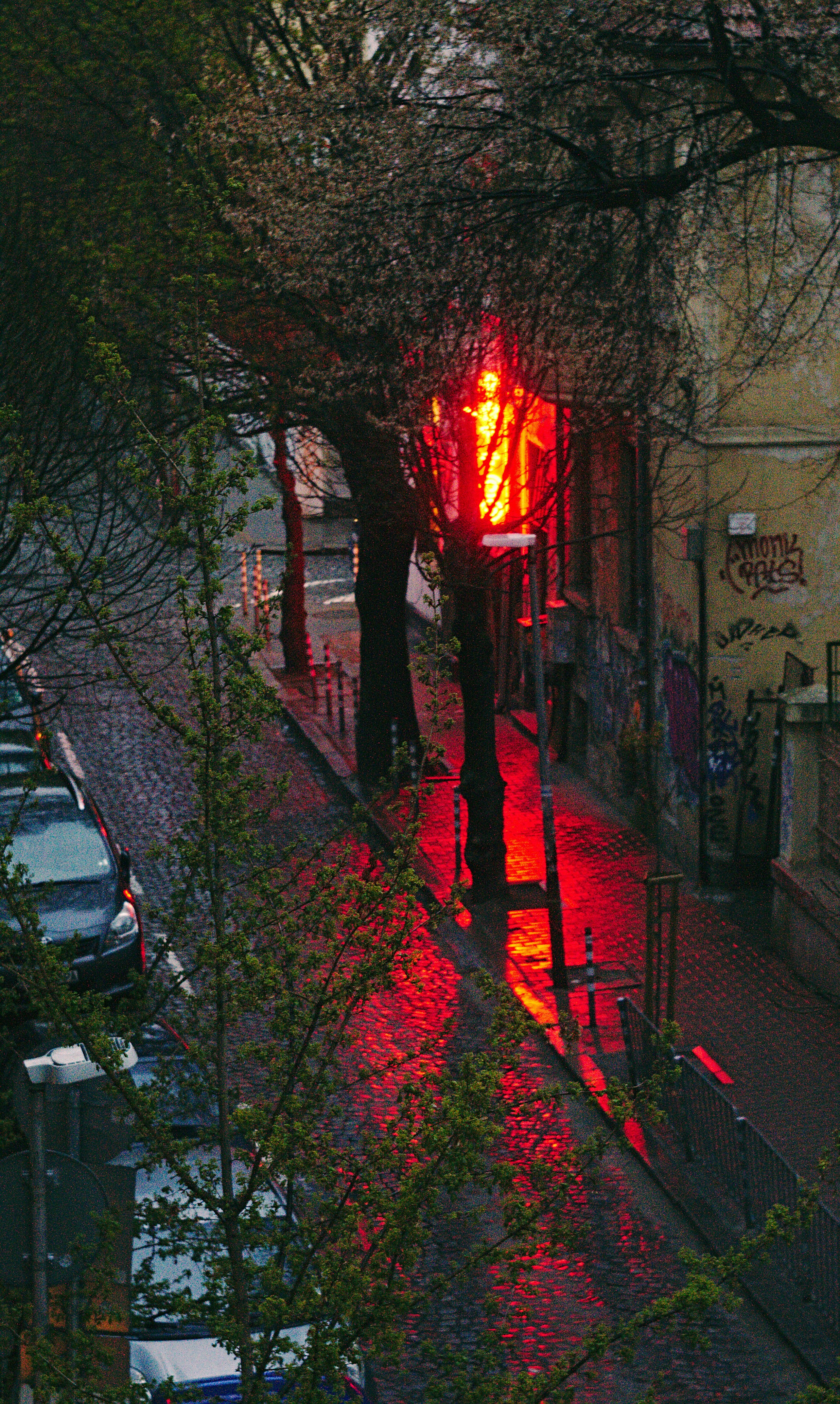 pianta a foglia verde