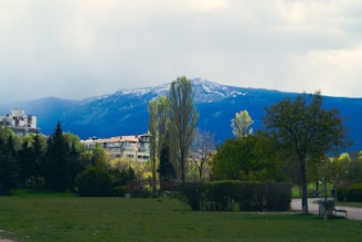 A serene landscape featuring lush green parks and well-maintained pathways in a residential community.