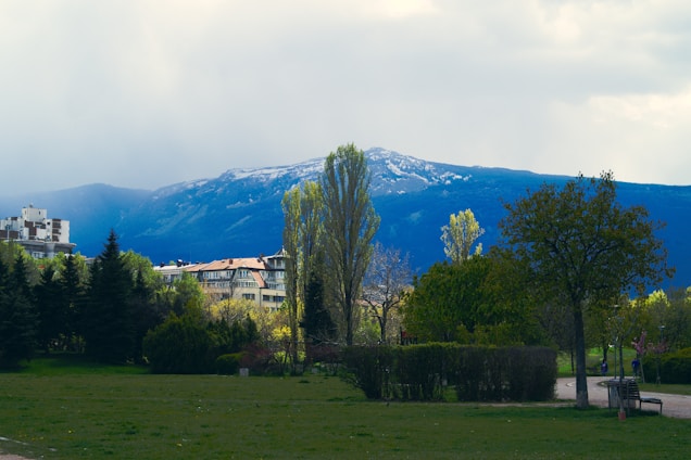 A serene landscape featuring lush green parks and well-maintained pathways in a residential community.