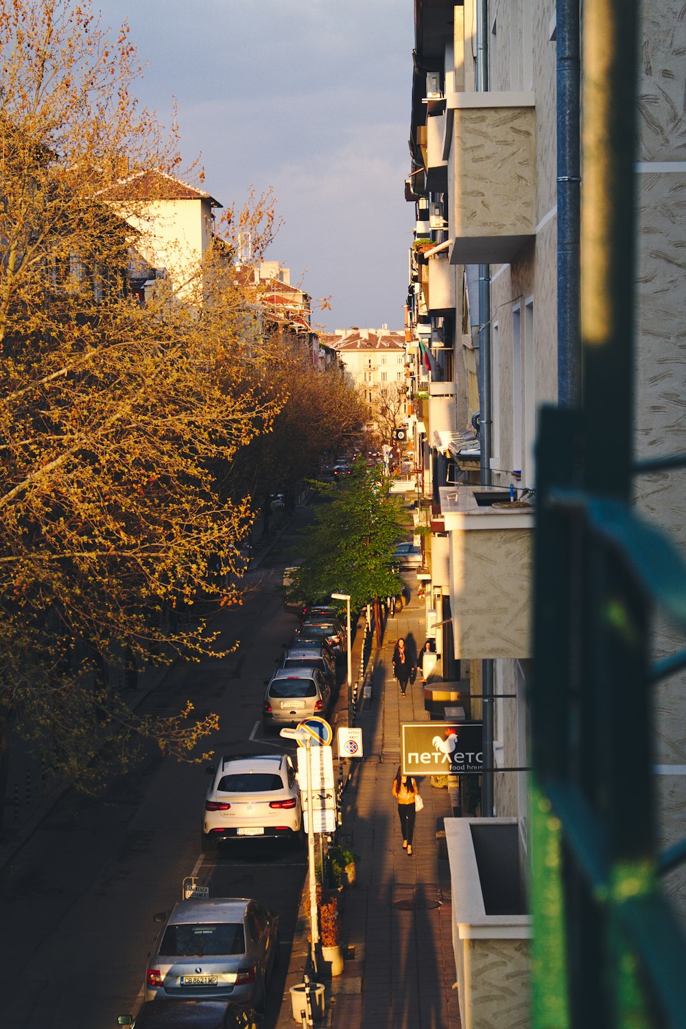 vehicles on road between trees and buildings