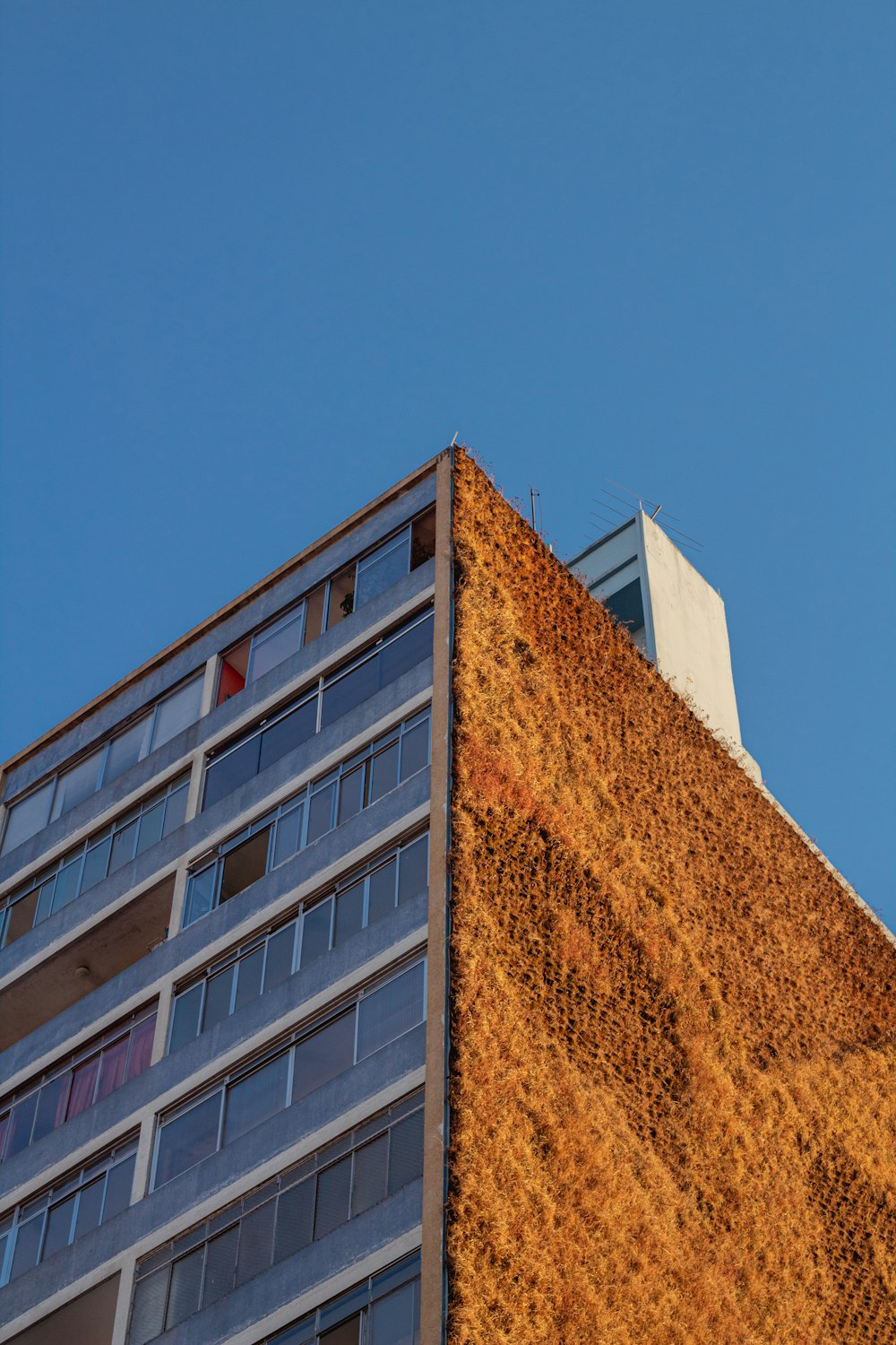 foto de baixo ângulo do edifício alto