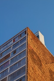 A multi-story building with a facade covered in a dense, golden-brown vertical garden or organic texture. The building has large windows on the left side, and the sky is clear and blue.