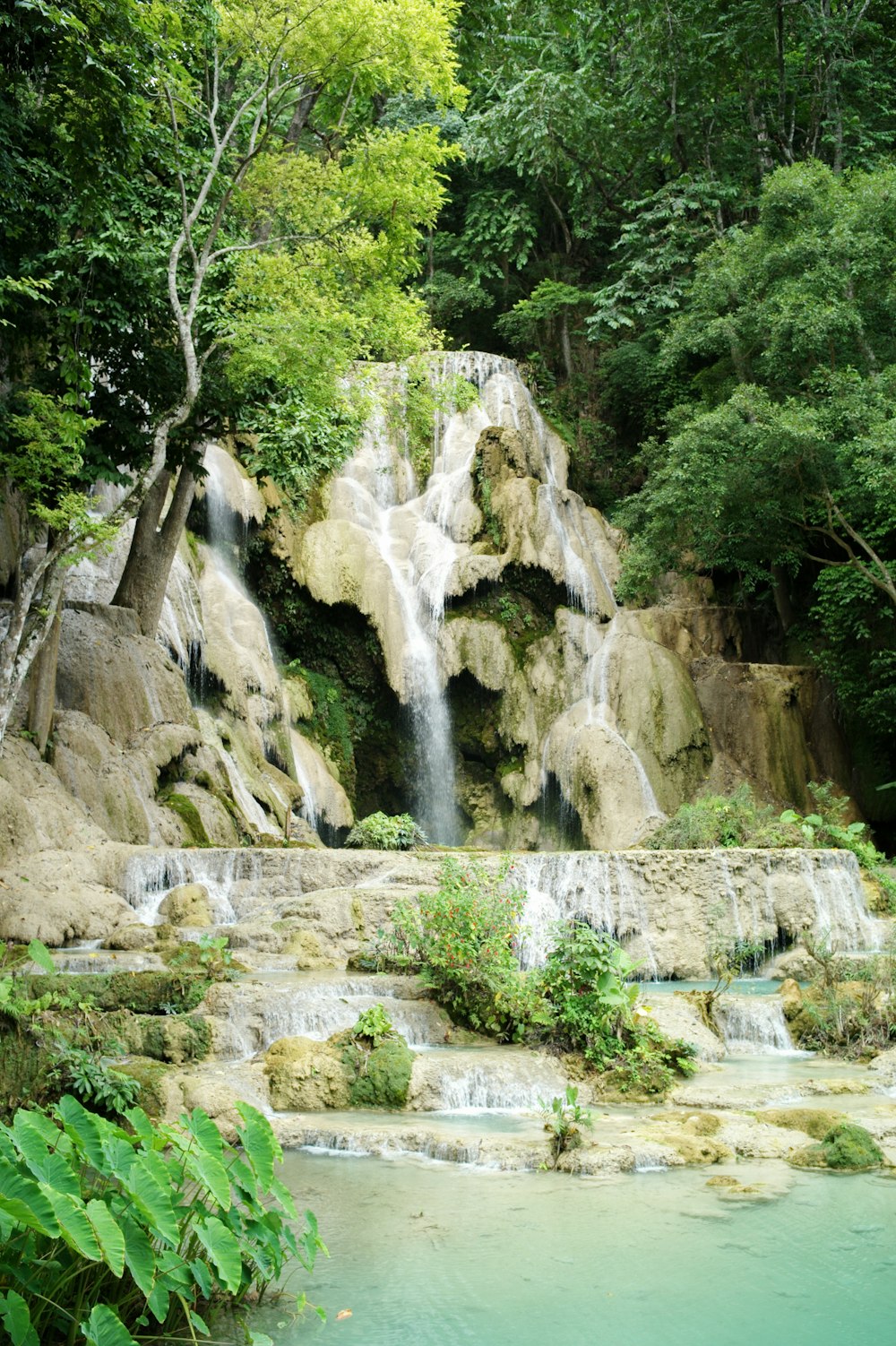 waterfalls surrounded by green trees at daytime