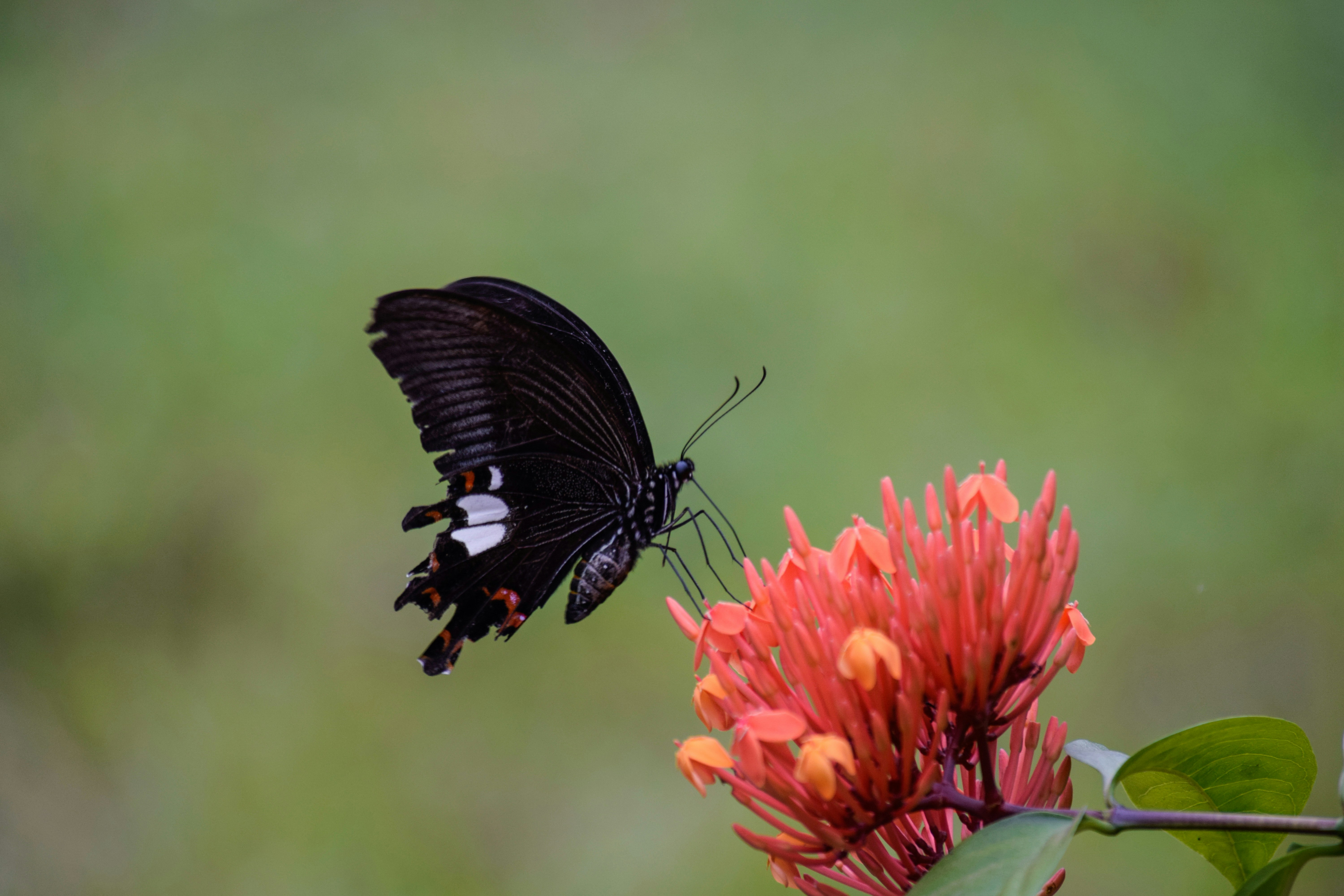 Photo by dipankargogoi55