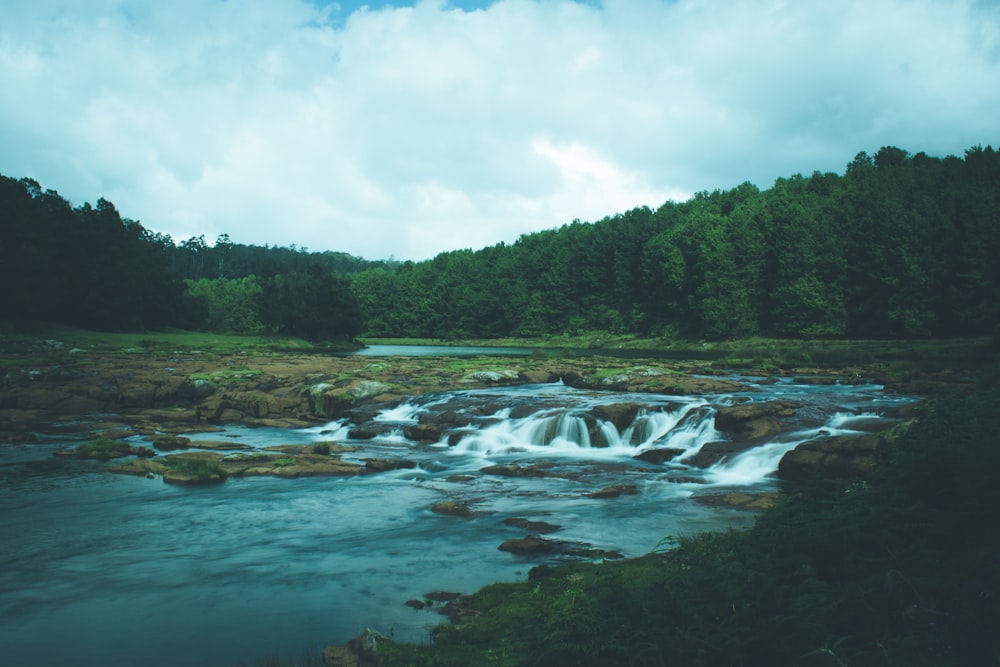 green trees near flowing body of water