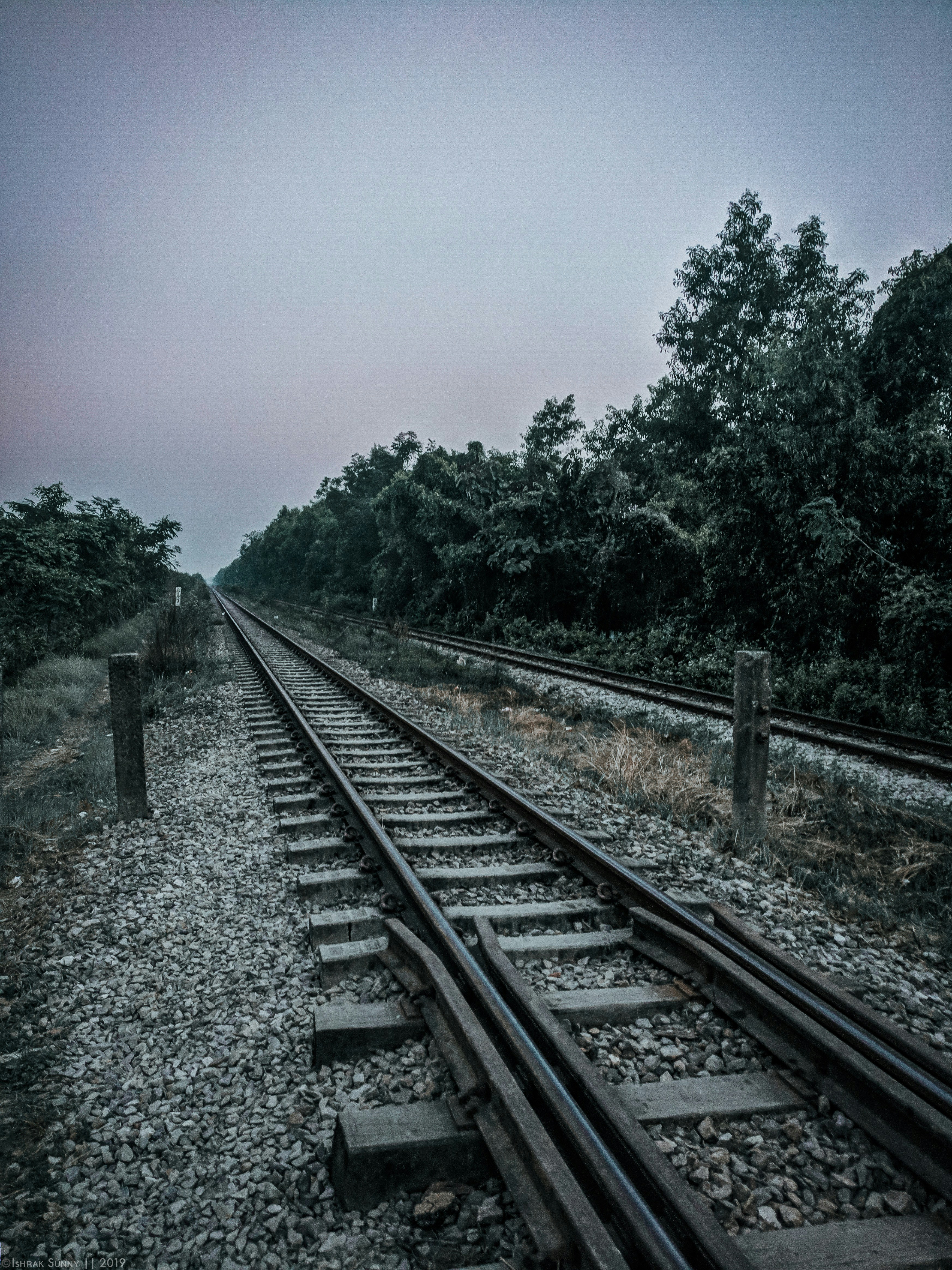 Photo by ishrak_sunny