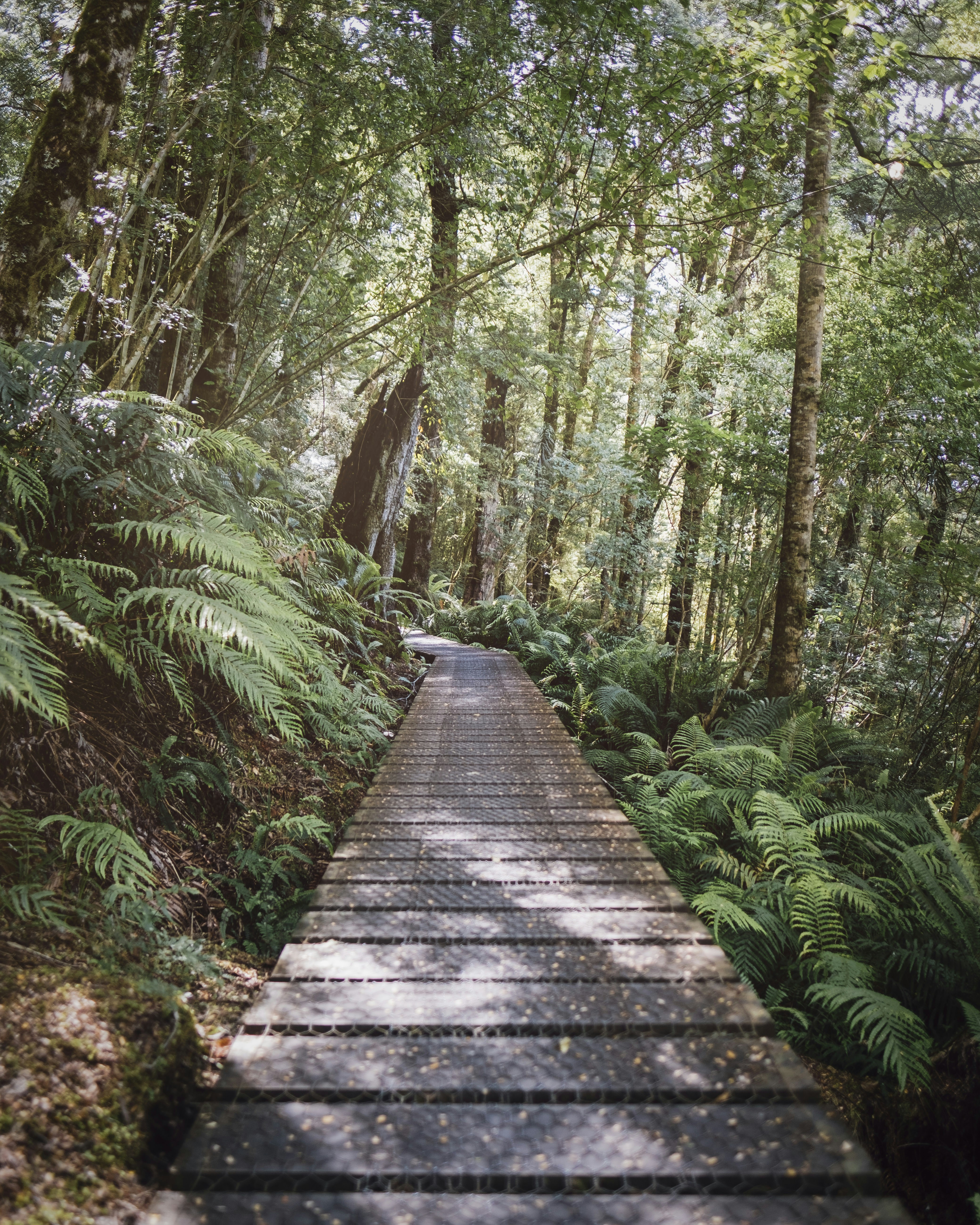 Photo by pixelatelier