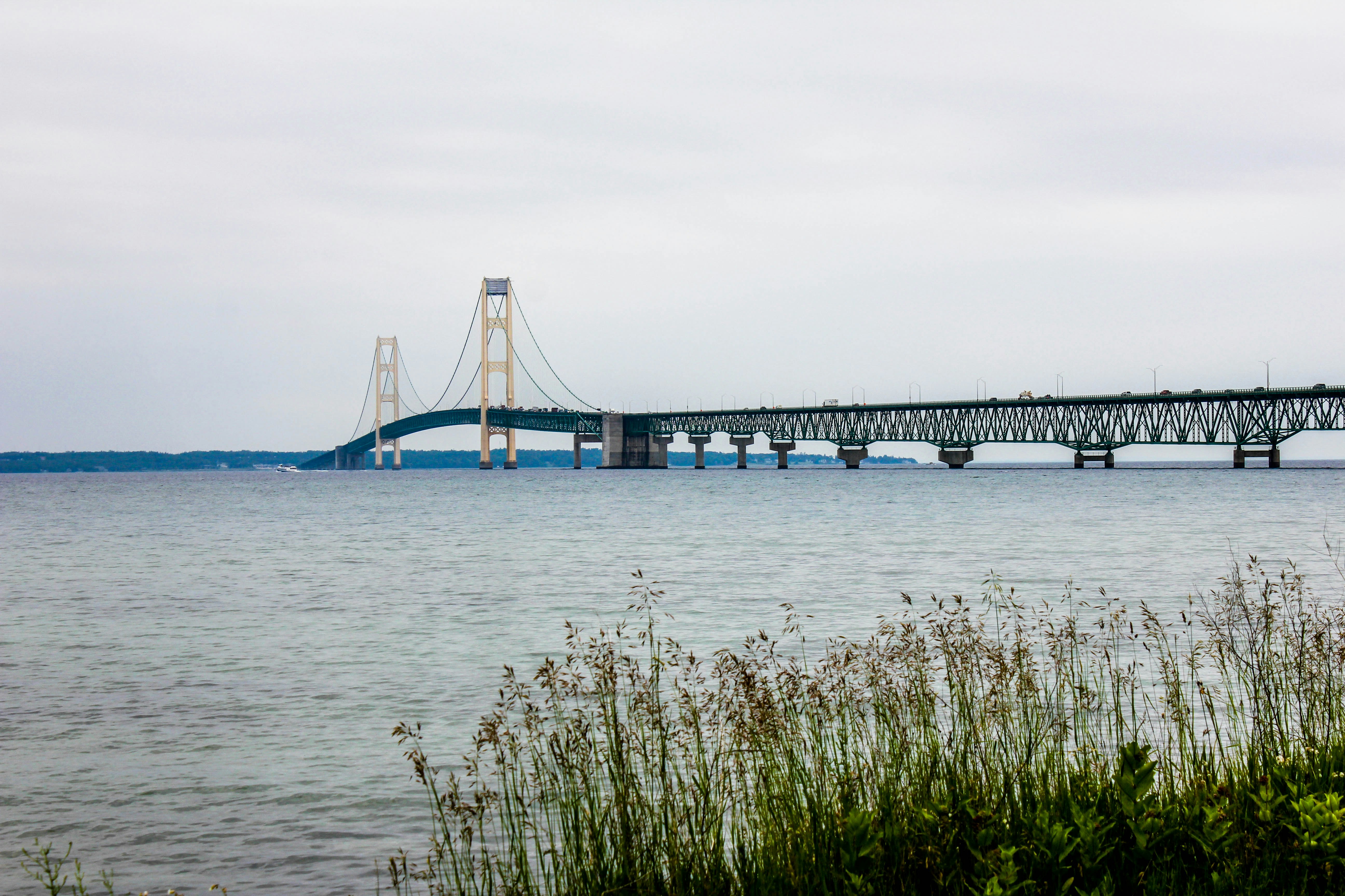 Photo by breezyb1802