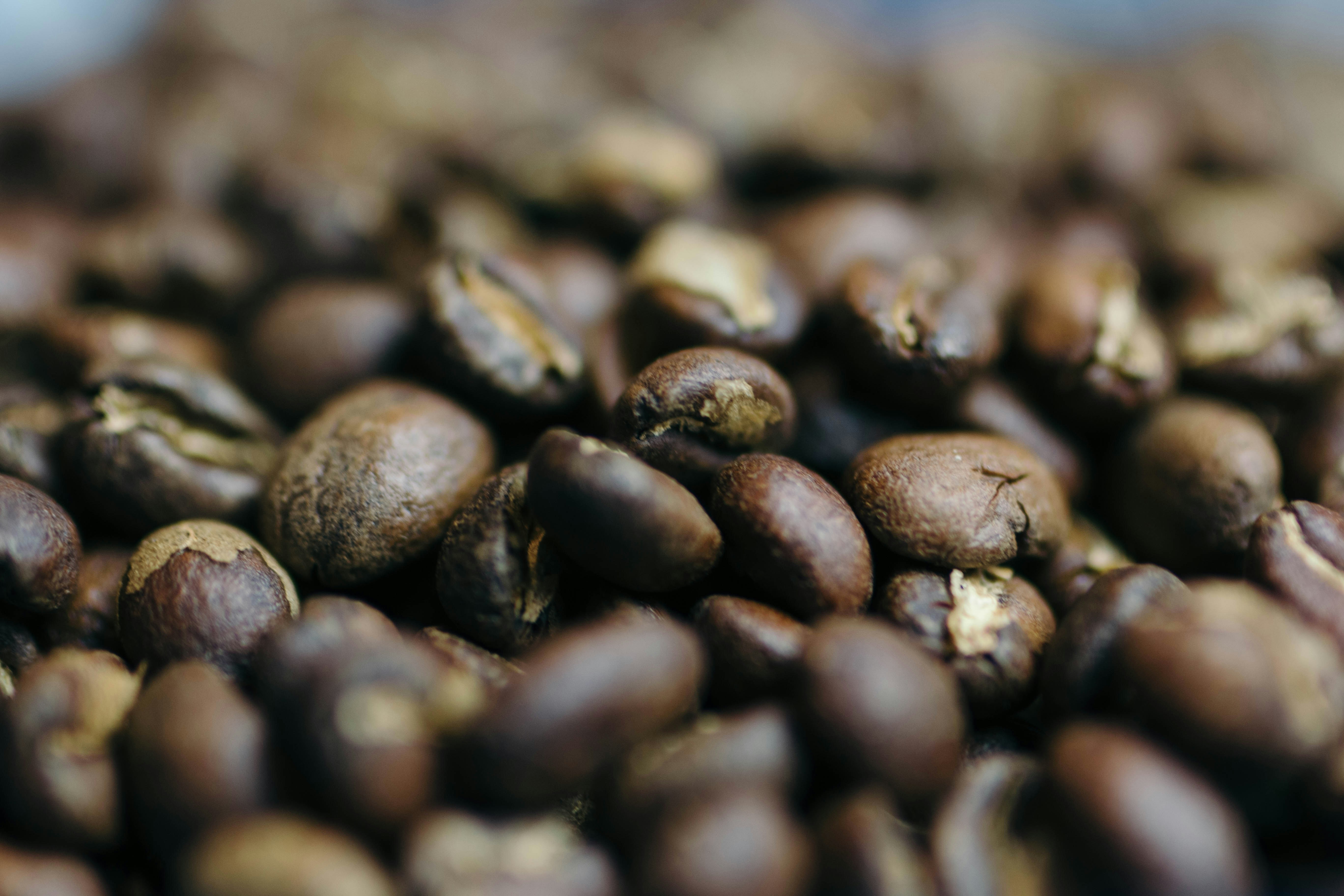 Photo by battlecreekcoffeeroasters