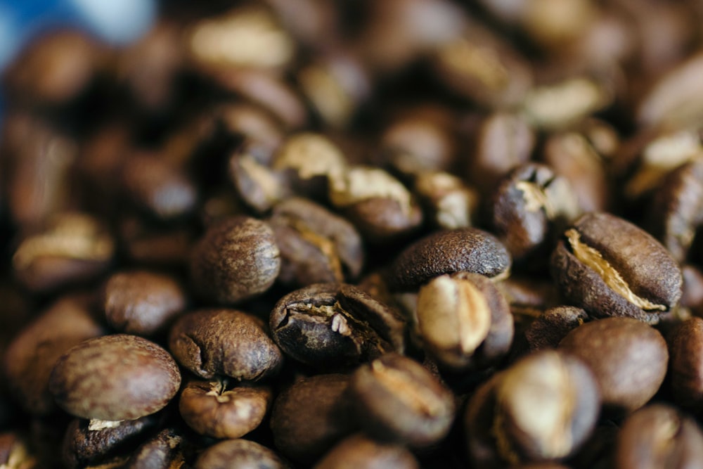 black coffee bean lot close-up photography