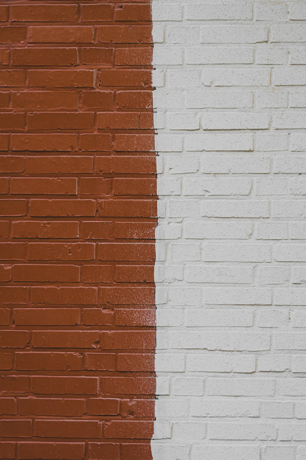 갈색과 흰색 콘크리트 벽