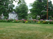 A freshly mowed lawn with vibrant flower beds in the background.
