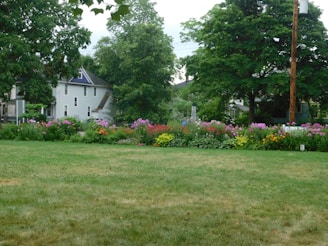 A lush green lawn is bordered by vibrant flowerbeds full of colorful blooms, including pink, red, and orange flowers. Large leafy trees and a few houses frame the background, creating a serene residential scene.